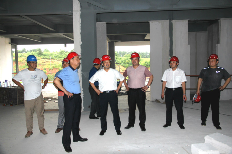 劉家和來(lái)宛陵科創(chuàng)城調(diào)研