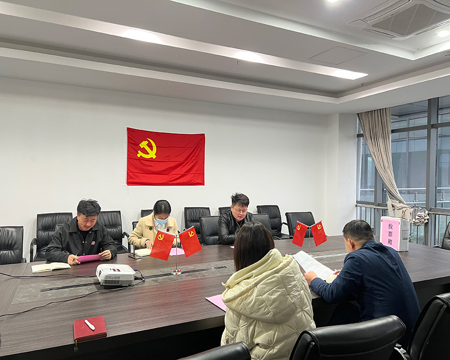 宛陵科創(chuàng)公司召開黨支部支部選舉大會